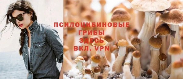ГАЛЛЮЦИНОГЕННЫЕ ГРИБЫ Алексин