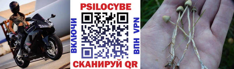 дарнет шоп  omg зеркало  Галлюциногенные грибы мицелий  Советский 